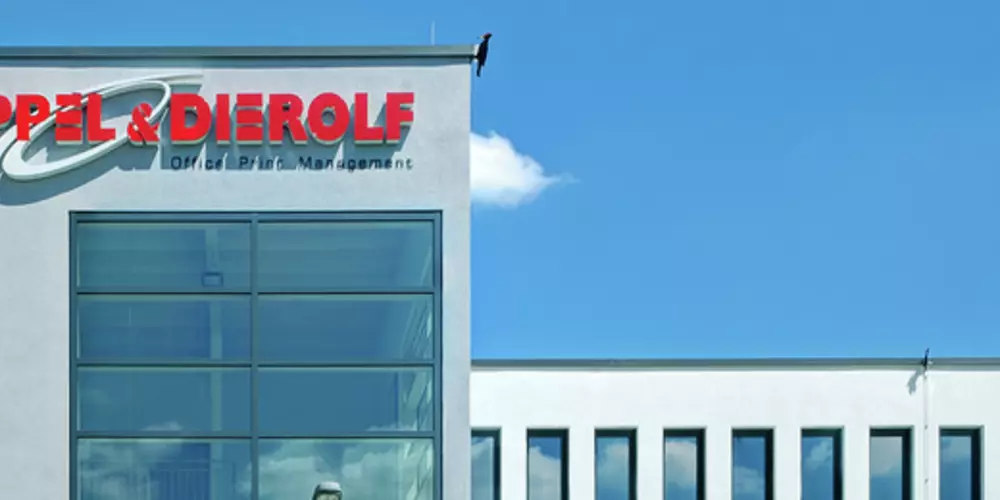 Kappel & Dierolf GmbH & Co. KG